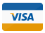 logo visa